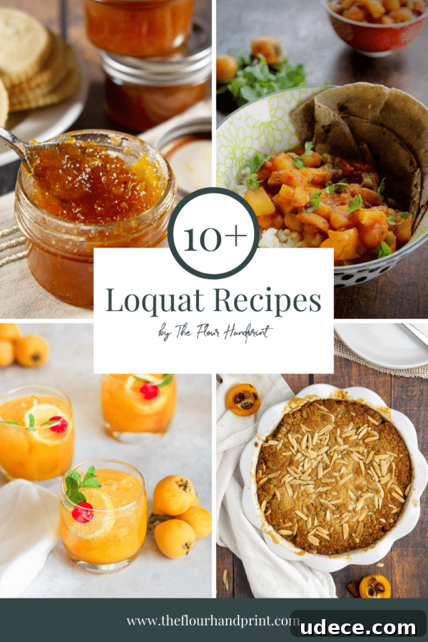 10+ Delicious Loquat Recipes to Try This Season 2 4 loquat recipes photographed, jam, a curry, a cocktail, and a cobbler