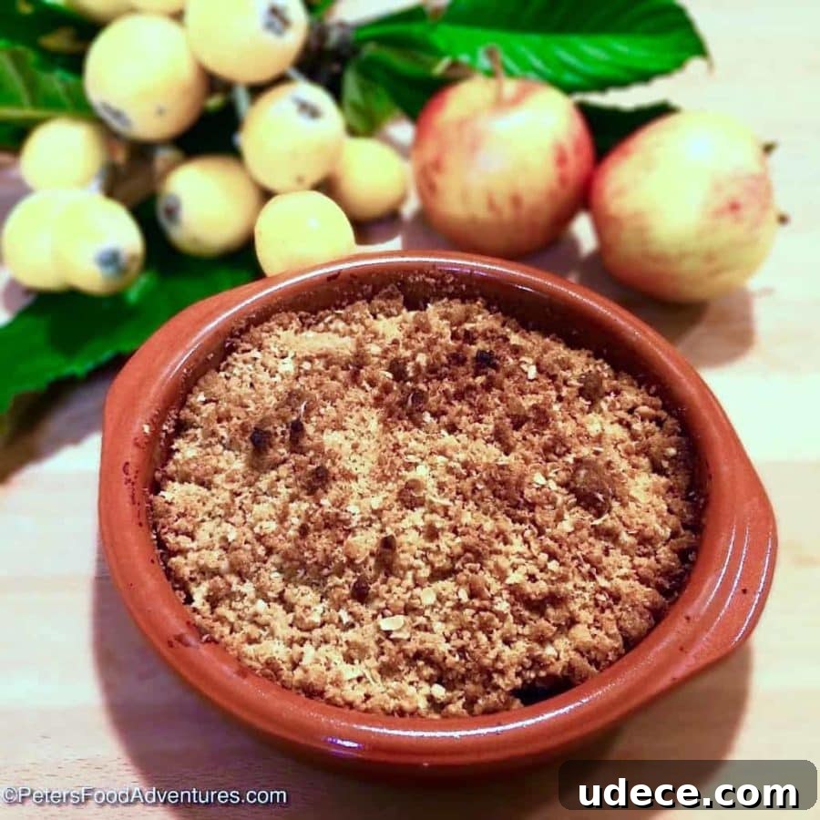 10+ Delicious Loquat Recipes to Try This Season 7 a loquat apple crumble in a red baking dish