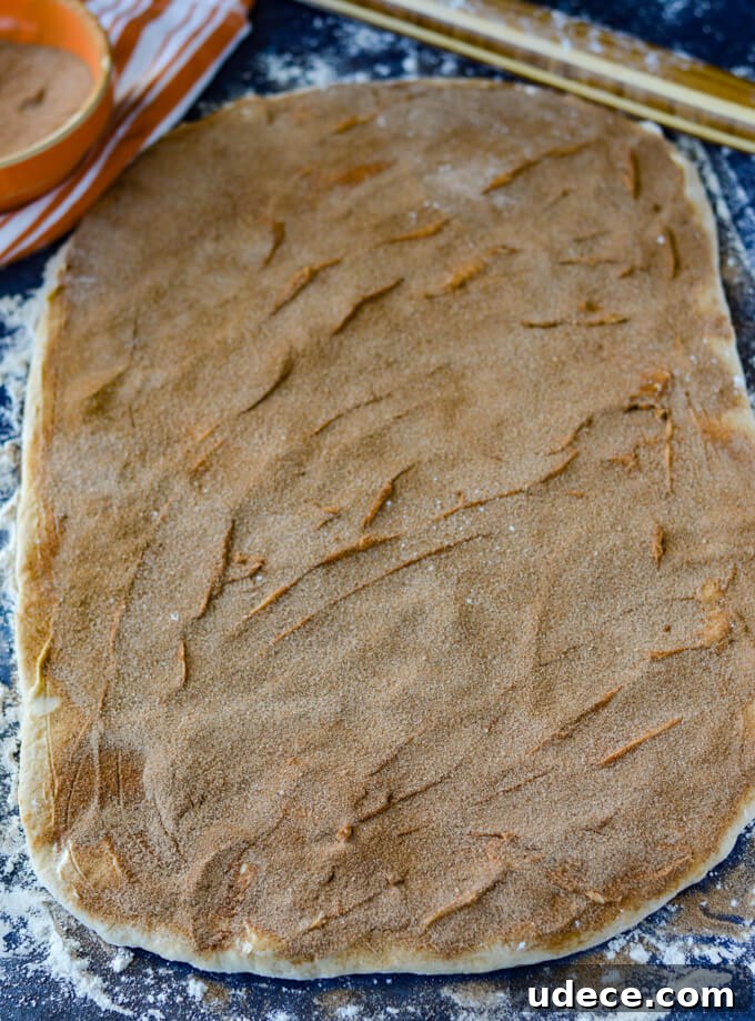 Perfect Homemade Cinnamon Rolls Recipe for Soft, Gooey Swirls 4 Rolled out cinnamon roll dough spread with butter, cinnamon and sugar on top.