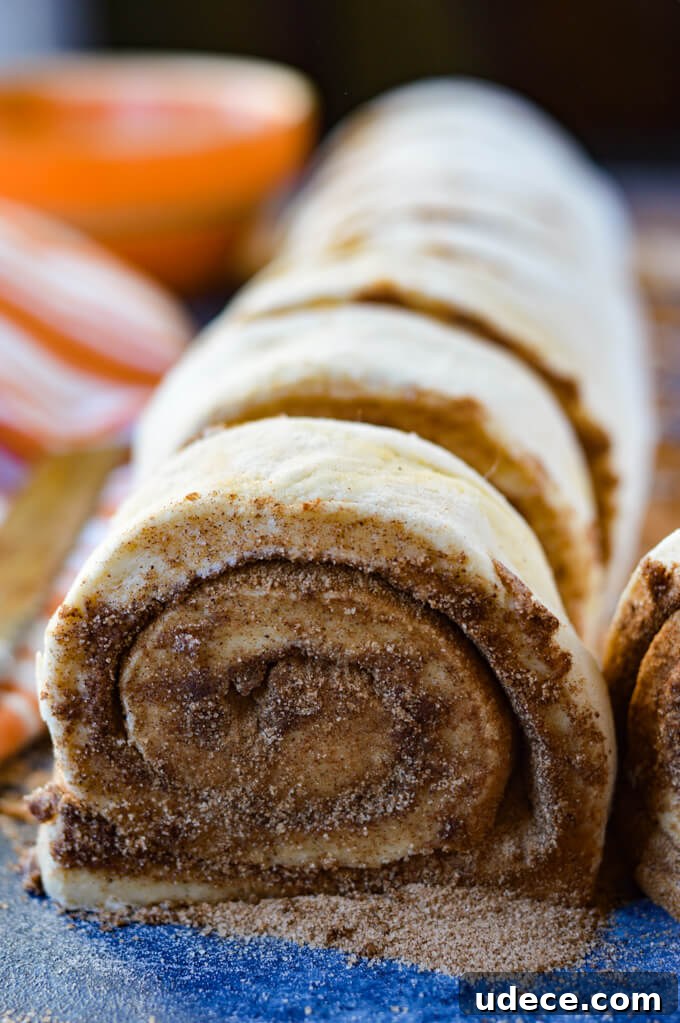 Perfect Homemade Cinnamon Rolls Recipe for Soft, Gooey Swirls 6 Roll of cinnamon rolls from the cut side with cinnamon and sugar spilling out.