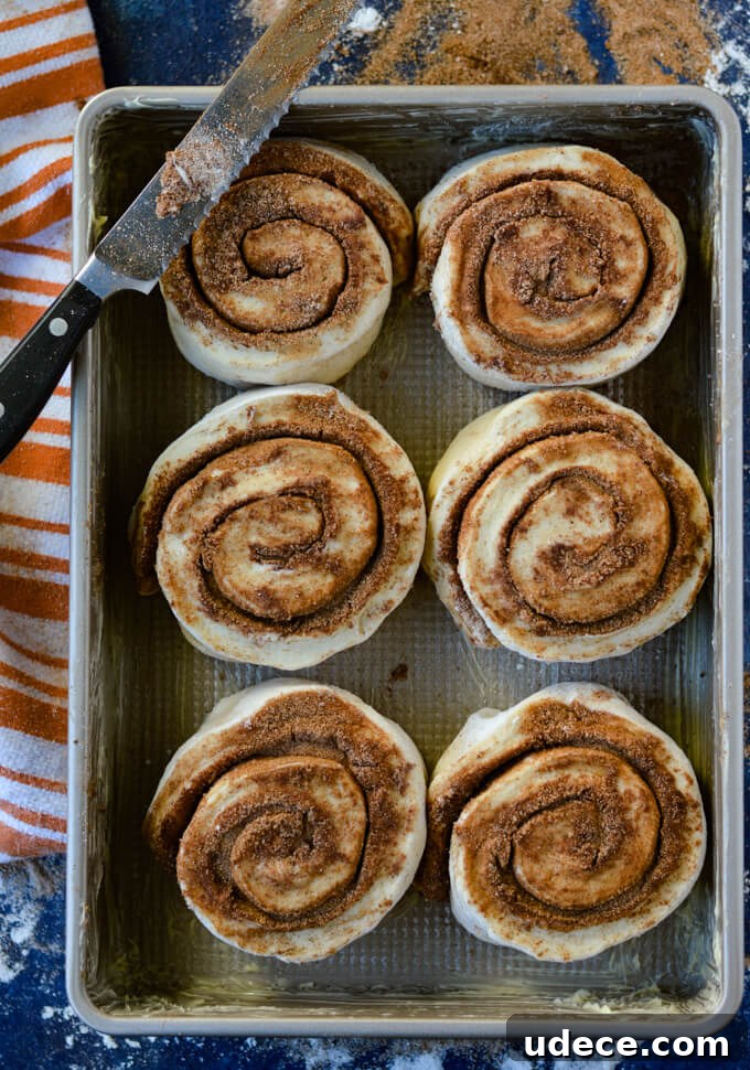 Perfect Homemade Cinnamon Rolls Recipe for Soft, Gooey Swirls 7 Unbaked cinnamon rolls in a pan ready to rise with a serrated knife on the edge.