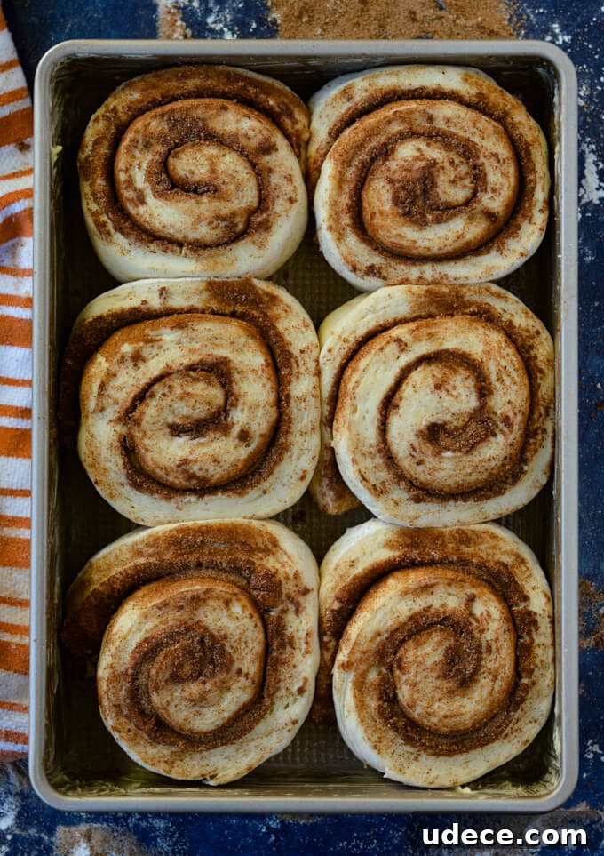 Perfect Homemade Cinnamon Rolls Recipe for Soft, Gooey Swirls 8 Unbaked cinnamon rolls risen in a pan with an orange and white striped towel beside it.