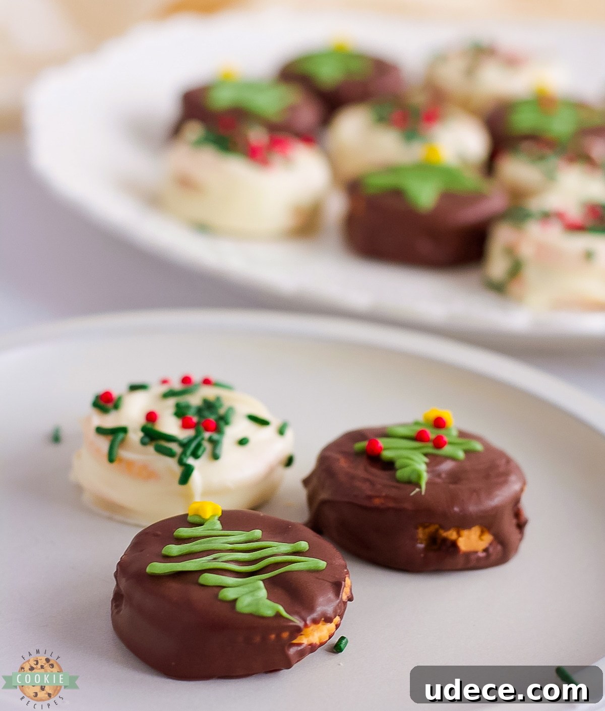 Chocolate Ritz Cracker Cookies with Melted Chocolate Drizzle 11 homemade Ritz cookies on a white plate