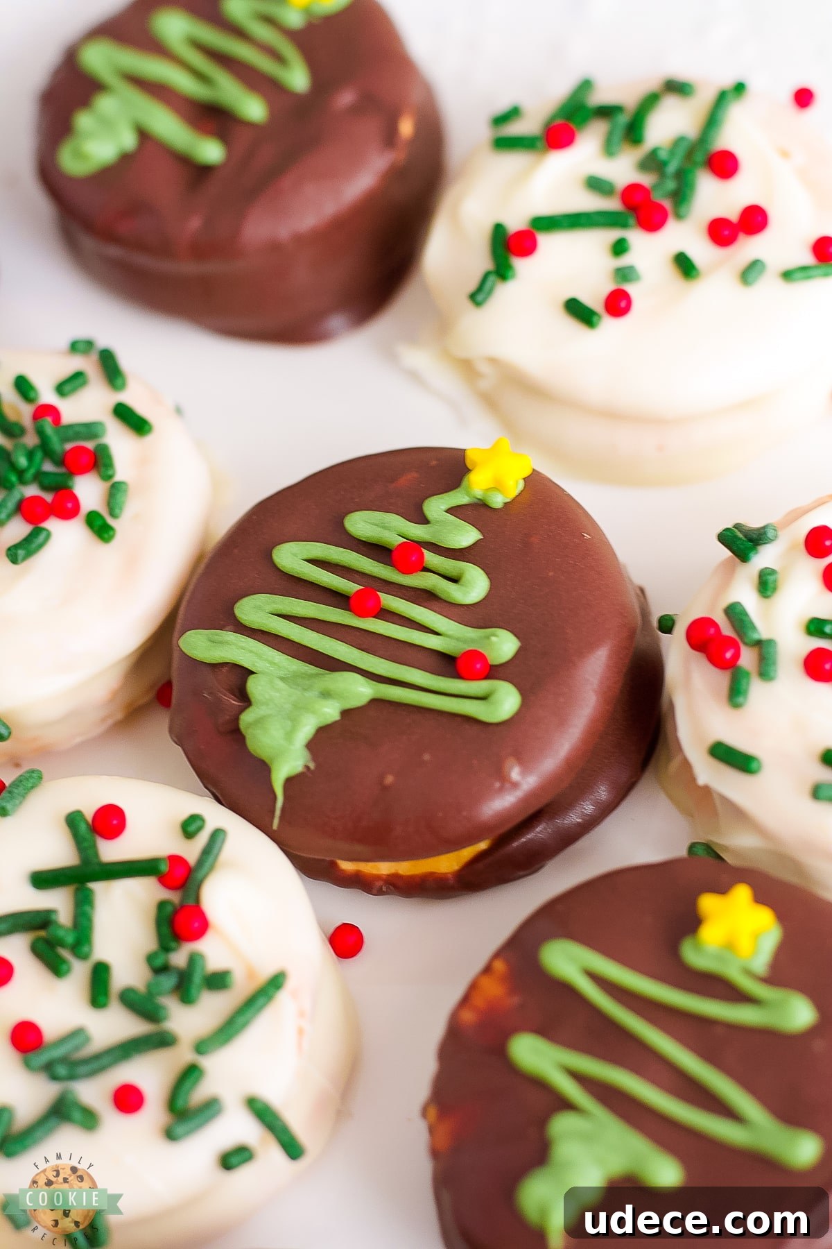 Chocolate Ritz Cracker Cookies with Melted Chocolate Drizzle 6 peanut butter Ritz cracker cookies