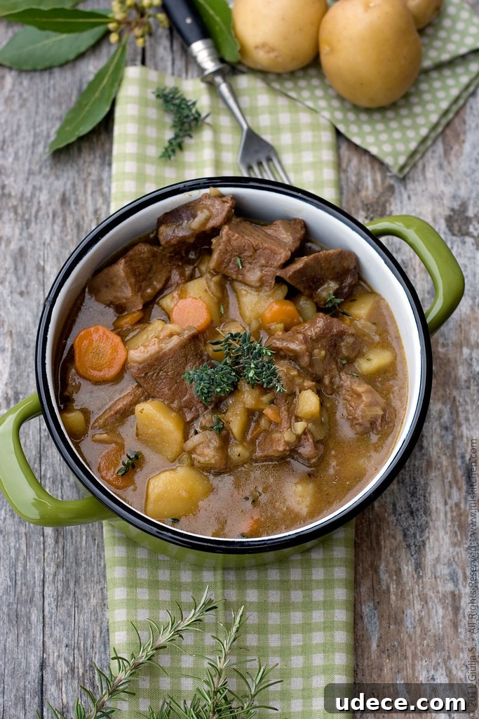 Authentic Irish Guinness Beef Steewith Root Vegetables 2 Irish countryside