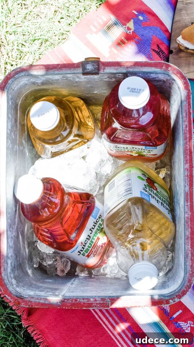 5 Must-Have Items for the Perfect Summer Picnic 3 This is how you plan a good picnic. These 5 Picnic Essentials are the foods you'll pack over and over again this summer. A menu so delicious and easy, you'll be picnicking on the regular. #ad #picnic #picnicrecipes #picnicfoods #picnicideas