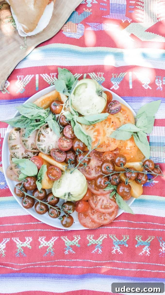 5 Must-Have Items for the Perfect Summer Picnic 6 Check out this picnic items list. These 5 Picnic Essentials are the foods you'll pack over and over again this summer. A menu so delicious and easy, you'll be picnicking on the regular. #ad #picnic #picnicrecipes #picnicfoods #picnicideas