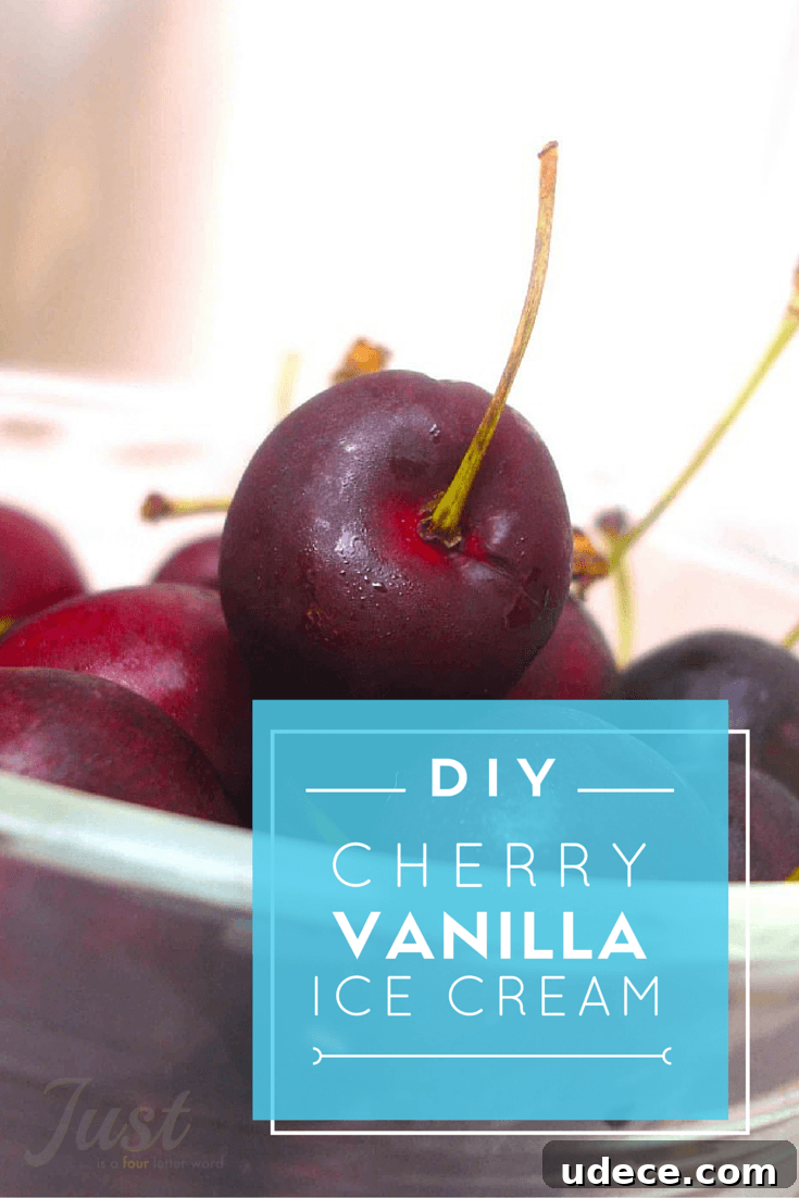 This must-try homemade cherry vanilla ice cream recipe is perfect for summer or a special day. Enjoy this tasty treat right away or freeze for later! This must-try homemade cherry vanilla ice cream recipe is perfect for summer or a special day. Enjoy this tasty treat right away or freeze for later!