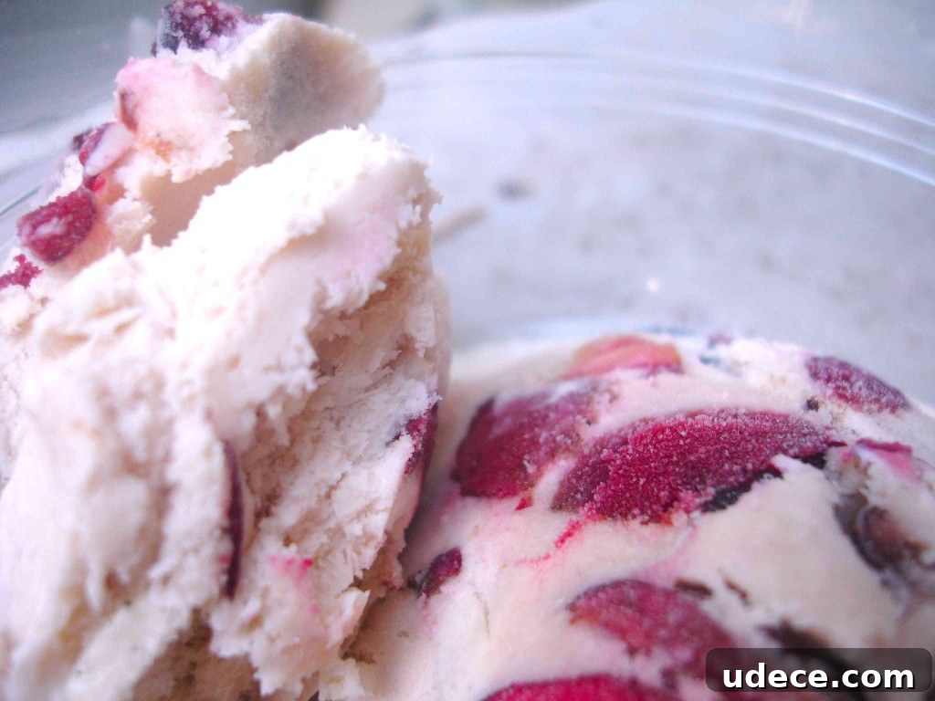This must-try homemade cherry vanilla ice cream recipe is perfect for summer or a special day. Enjoy this tasty treat right away or freeze for later! Scoops of cherry vanilla ice cream