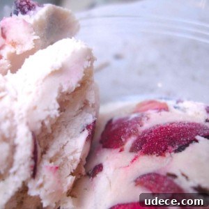 This must-try homemade cherry vanilla ice cream recipe is perfect for summer or a special day. Enjoy this tasty treat right away or freeze for later!