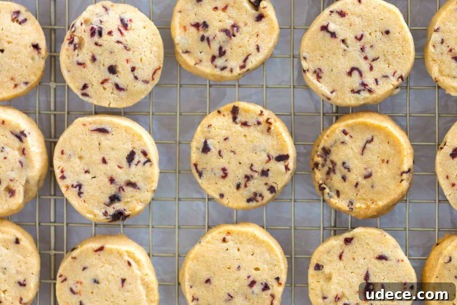 Hibiscus-Glazed Shortbread Cookies: Floral Tea Cookie Recipe 10 Glazed Hibiscus Shortbread Cookies cooling