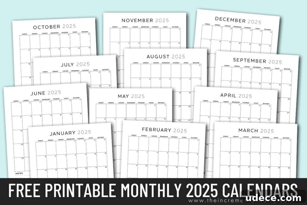 2025 Monthly Calendar PDF with Lined Notes — Free Printable 5 img 15506 16