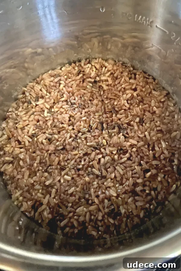 Wild Rice Salad: Refreshing Picnic Side Dish Recipe 3 instant pot wild rice
