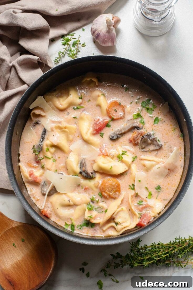 Tomato tortellini soup in a bowl