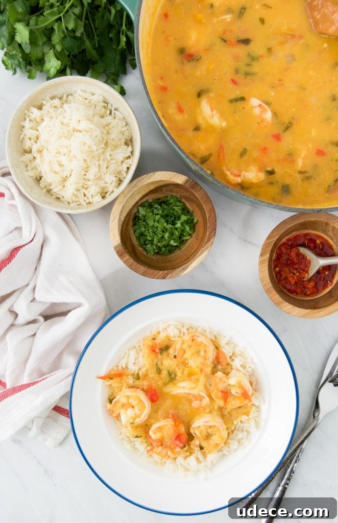 Bobó de Camarão: Creamy Brazilian Shrimp Stew Recipe 2 A bowl of Bobo de camarao next to peppers, rice, green onions and a pot of stew