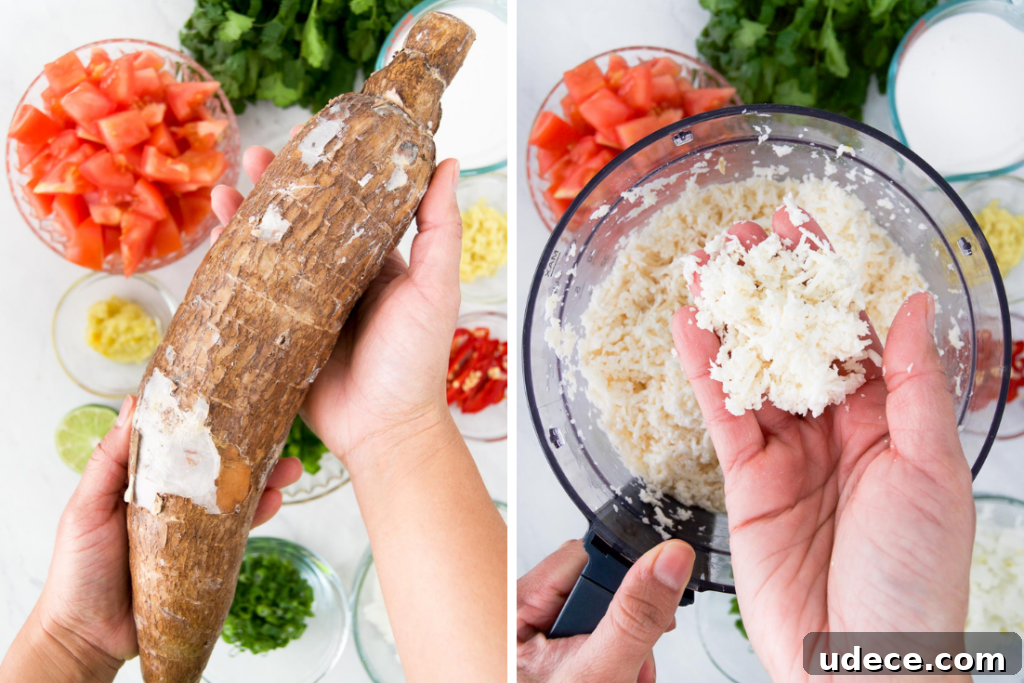 Bobó de Camarão: Creamy Brazilian Shrimp Stew Recipe 6 Collage showing a person holding yuca root and what the root looks like when shredded