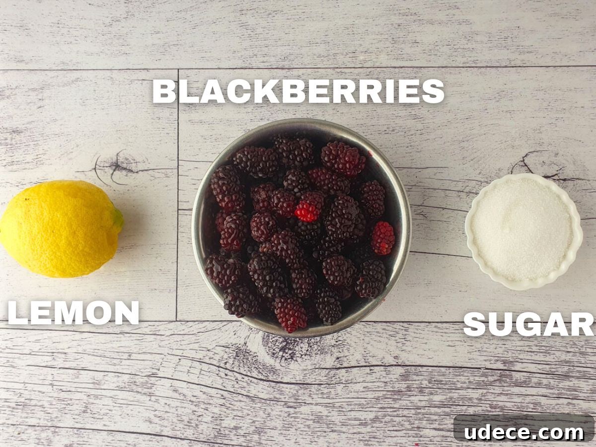 Decadent Blackberry Cheesecake Recipe with Fresh Fruit Topping 3 Blackberry coulis ingredients: fresh lemon, blackberries, granulated sugar (not shown).