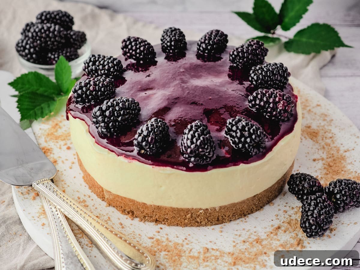Decadent Blackberry Cheesecake Recipe with Fresh Fruit Topping 9 Whole no bake blackberry cheesecake with blackberry coulis and fresh blackberries on a serving plate, with serving ware on the side.