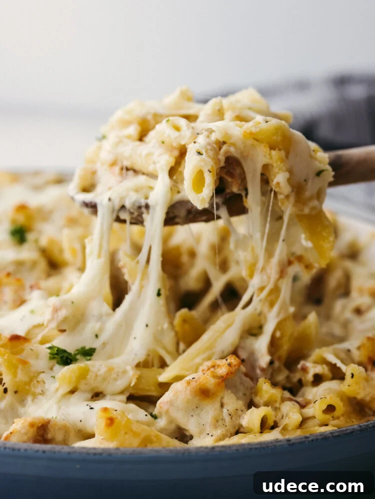 Baked Chicken Alfredo Pasta Baked chicken alfredo pasta being served with a wooden spoon.