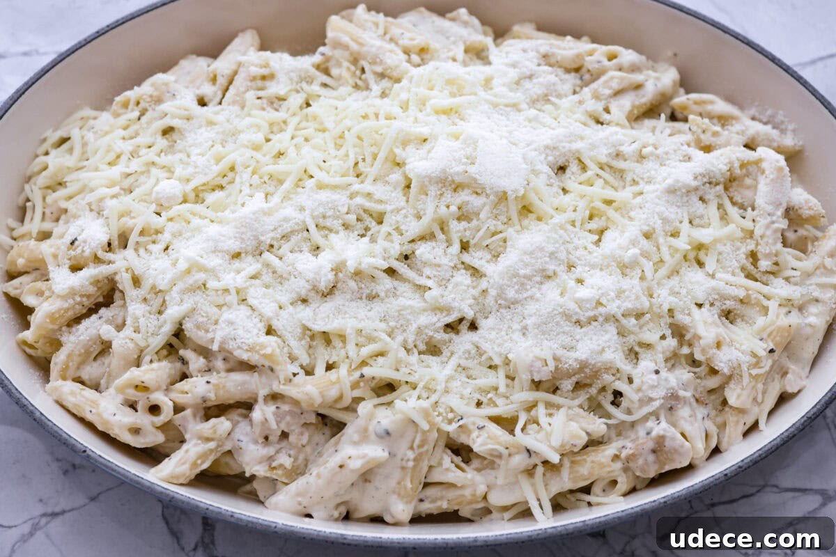Creamy Baked Chicken Alfredo Pasta Casserole Recipe 6 Layered chicken Alfredo bake ready to go in the oven.