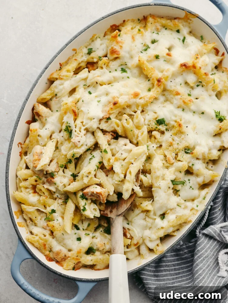 Baked Chicken Alfredo Pasta A baking pan filled with chicken and noodles and sauce with a wooden spoon.