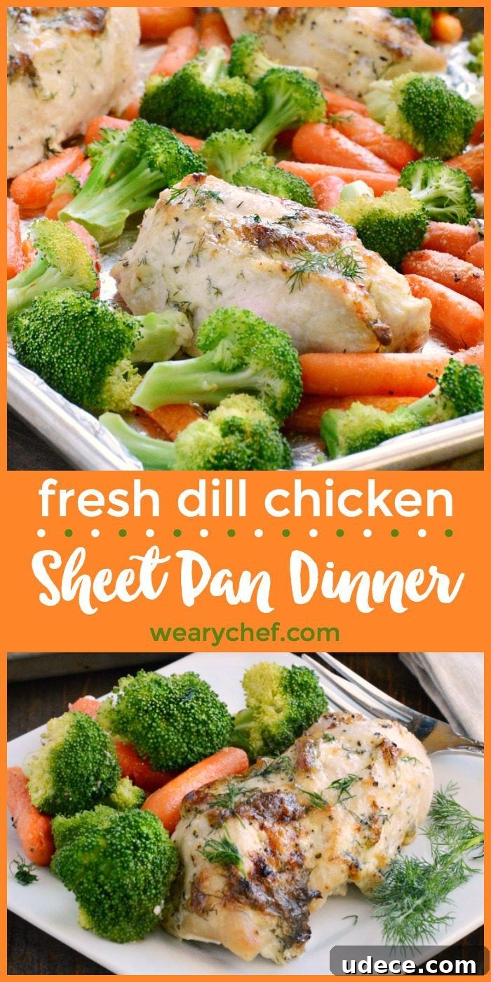 Sheet Pan Dill Chicken with Roasted Veggies 2 This aromatic Dill Chicken Sheet Pan Dinner with fresh carrots and broccoli is a quick and easy meal that your family will love!