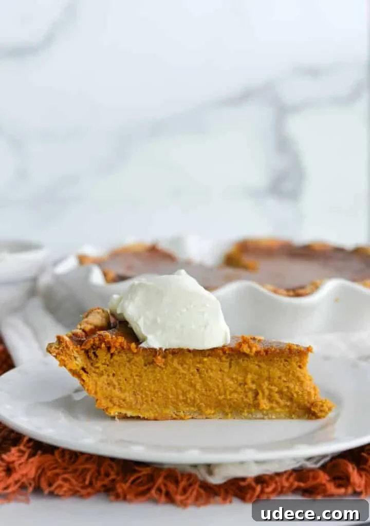 Sourdough Pumpkin Pie Recipe: Flaky Crust with Spiced Filling 2 Sourdough pumpkin pie