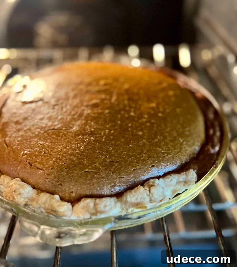 Sourdough Pumpkin Pie Recipe: Flaky Crust with Spiced Filling 11 Sourdough pumpkin pie cooling