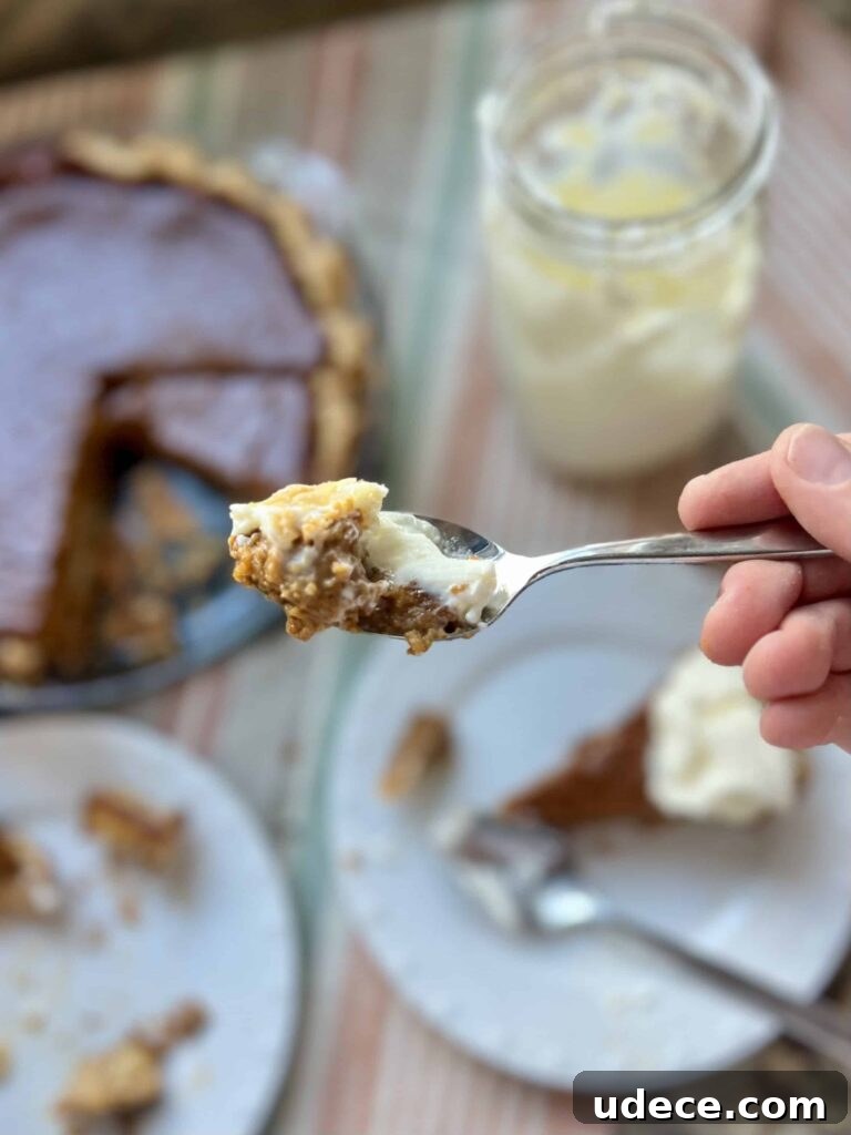 Sourdough Pumpkin Pie Recipe: Flaky Crust with Spiced Filling 14 Slice of pie