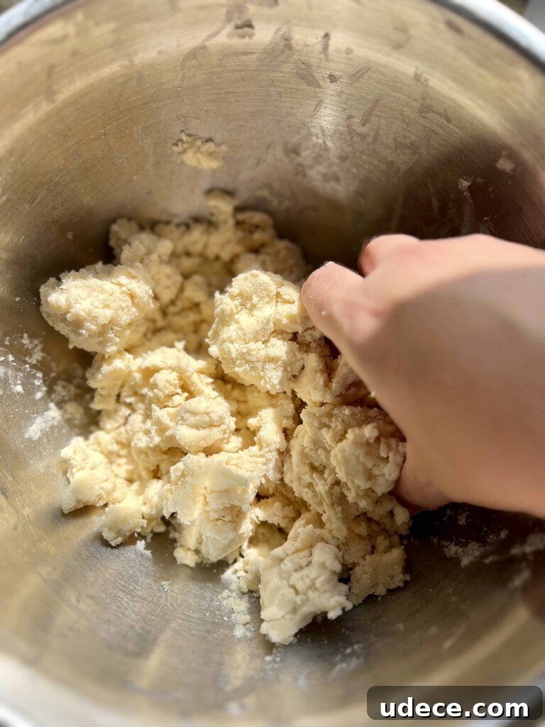 Sourdough Pumpkin Pie Recipe: Flaky Crust with Spiced Filling 4 Rolling out pie crust