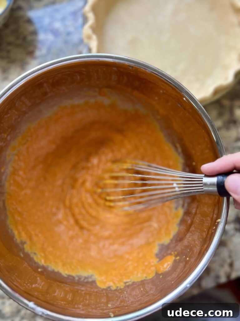 Sourdough Pumpkin Pie Recipe: Flaky Crust with Spiced Filling 9 Filled pie ready to bake