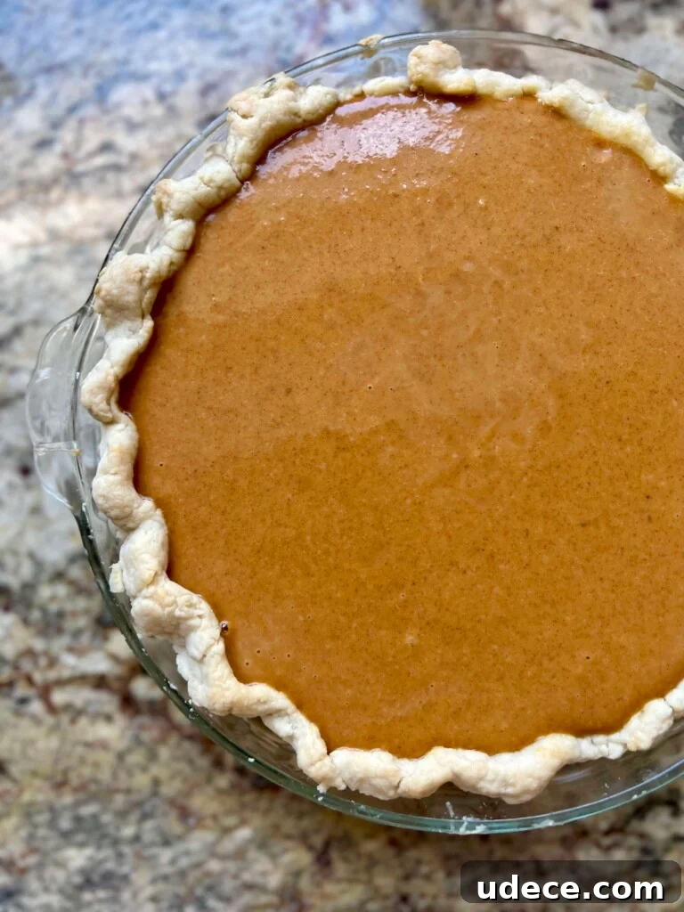 Sourdough Pumpkin Pie Recipe: Flaky Crust with Spiced Filling 10 Baked pie