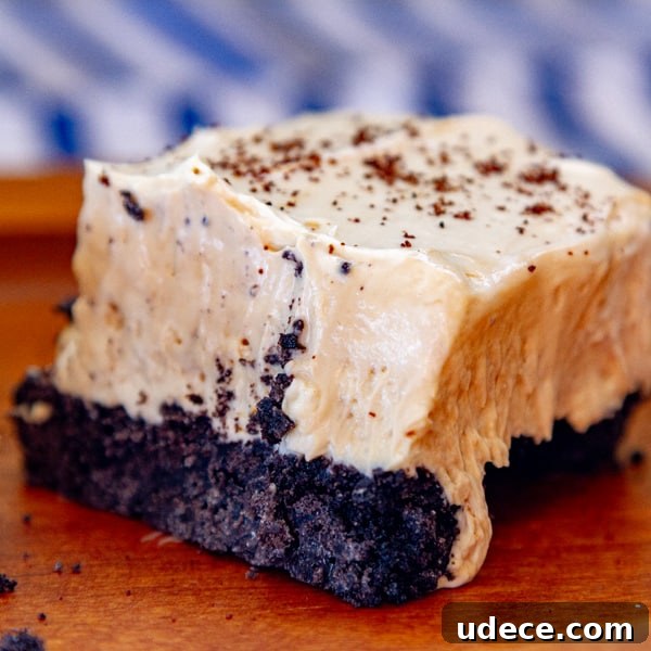 close up on a cheese cake piece with cookie crust and there's a blue and white striped cloth in the background.