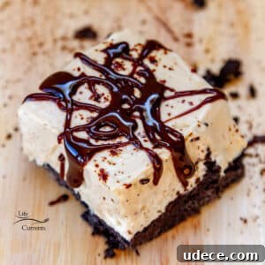looking down on a cheesecake bite that's drizzled with chocolate and lots of cookie crumbs around it.