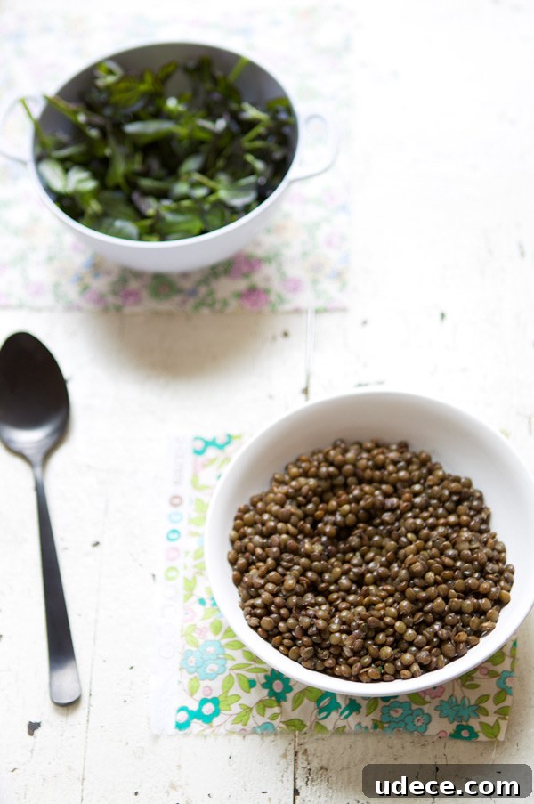 Brightening Green Lentil Salad with Lemon Herb Vinaigrette 34 img 17639 1