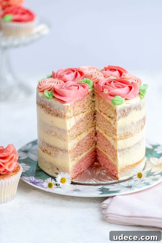 Pink Ombre Cake with Vanilla Buttercream Frosting for Parties 2 img 17923 1