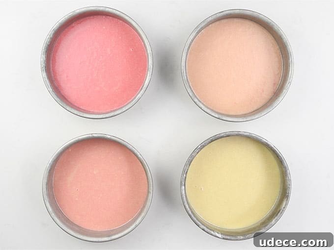 Pink Ombre Cake with Vanilla Buttercream Frosting for Parties 9 Shades of pink batter in four cake tins for ombre layer cake