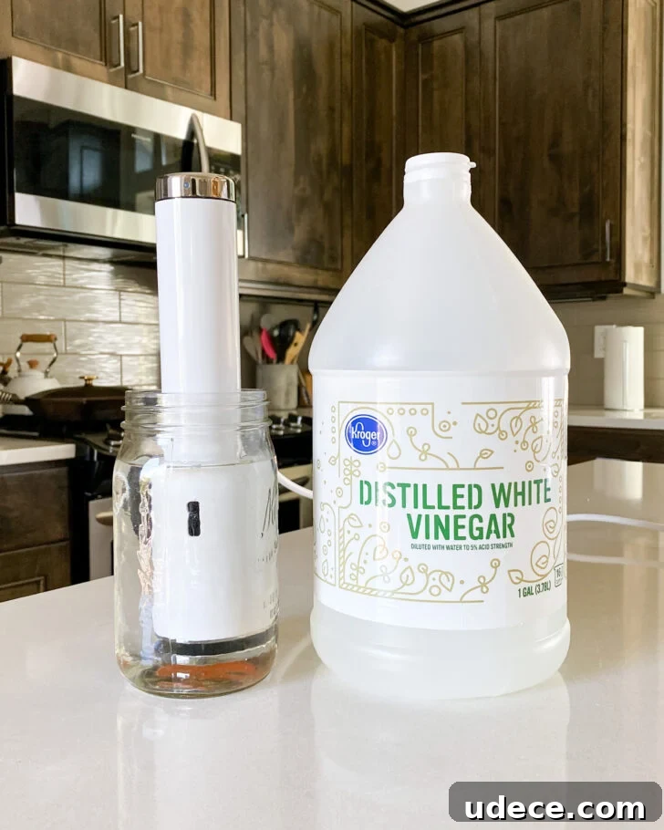 Guide to Cleaning and Maintaining Your Immersion Circulator 2 Immersion circulator in jar of water next to large container of vinegar on kitchen counter