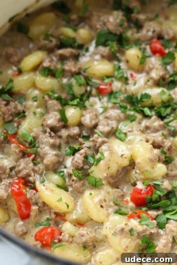 Gnocchi with ground beef in pot.