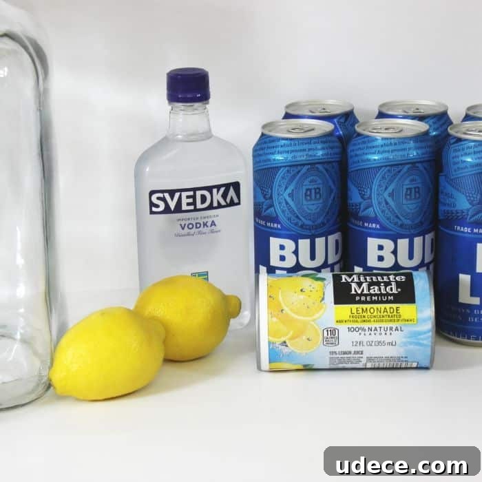 summer beer recipe ingredients on counter