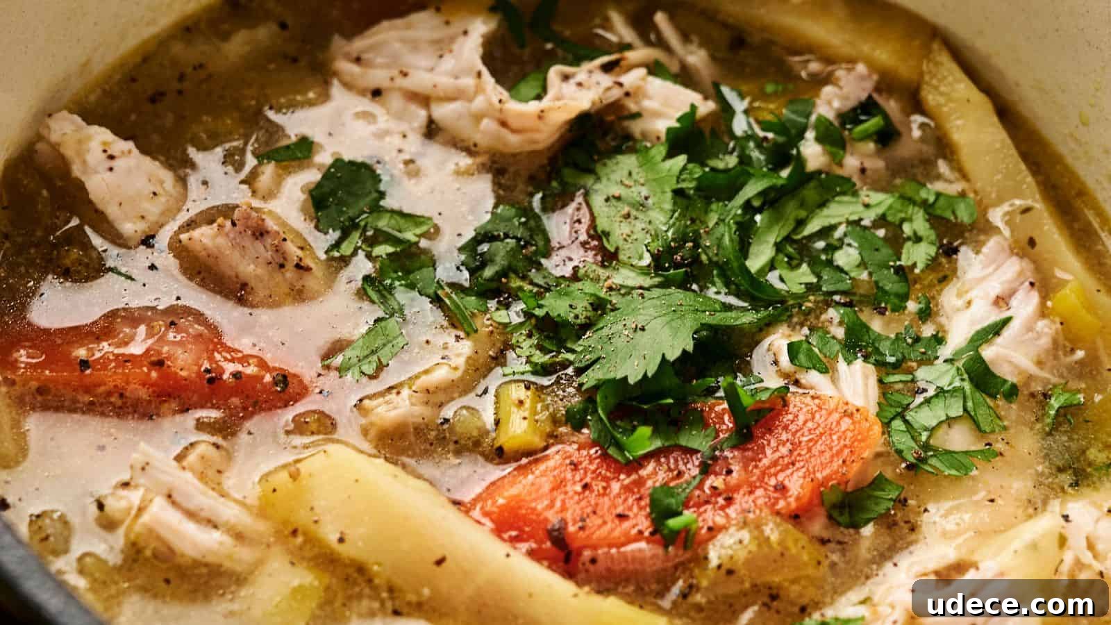 Close-up of a soup with shredded meat, tomato pieces, and slices of vegetables, garnished with chopped cilantro in a broth.