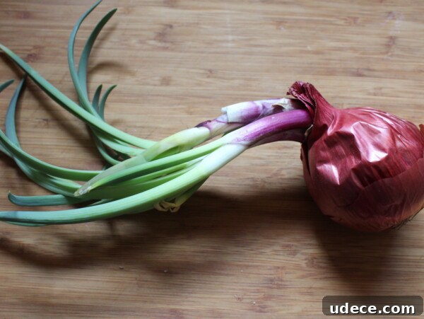 Grow Garlic from Sprouted Cloves: A Simple Step-by-Step Guide 14 Sprouted Onion for planting