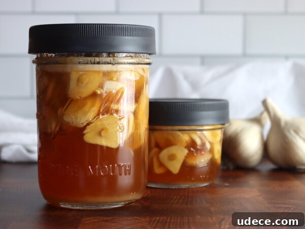 Grow Garlic from Sprouted Cloves: A Simple Step-by-Step Guide 18 Fermented Garlic Honey