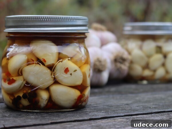 Grow Garlic from Sprouted Cloves: A Simple Step-by-Step Guide 19 Pickled Garlic