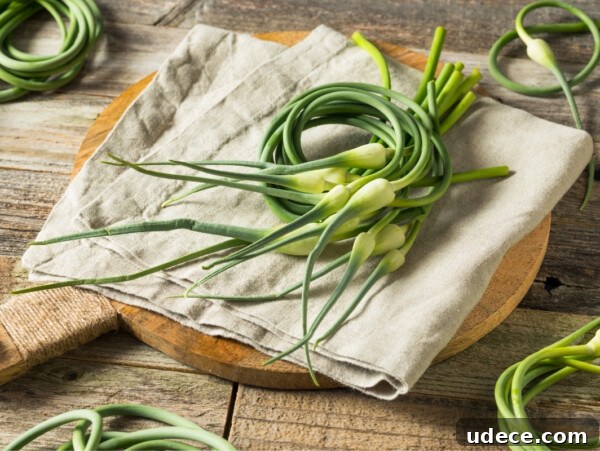 Grow Garlic from Sprouted Cloves: A Simple Step-by-Step Guide 20 garlic scapes