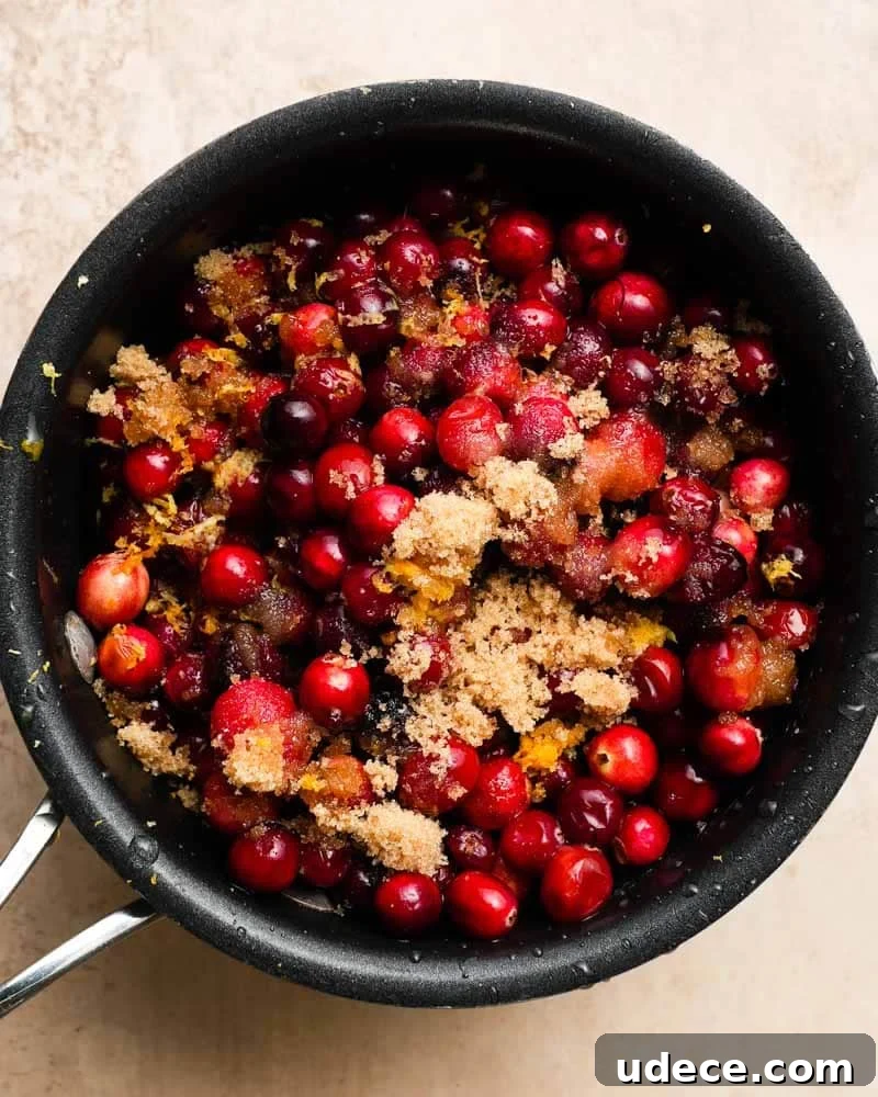Mandarin Orange Cranberry Sauce Recipe — Ready in 20 Minutes 2 a small pot of cranberries, sugar, orange juice and zest ready to be cooked