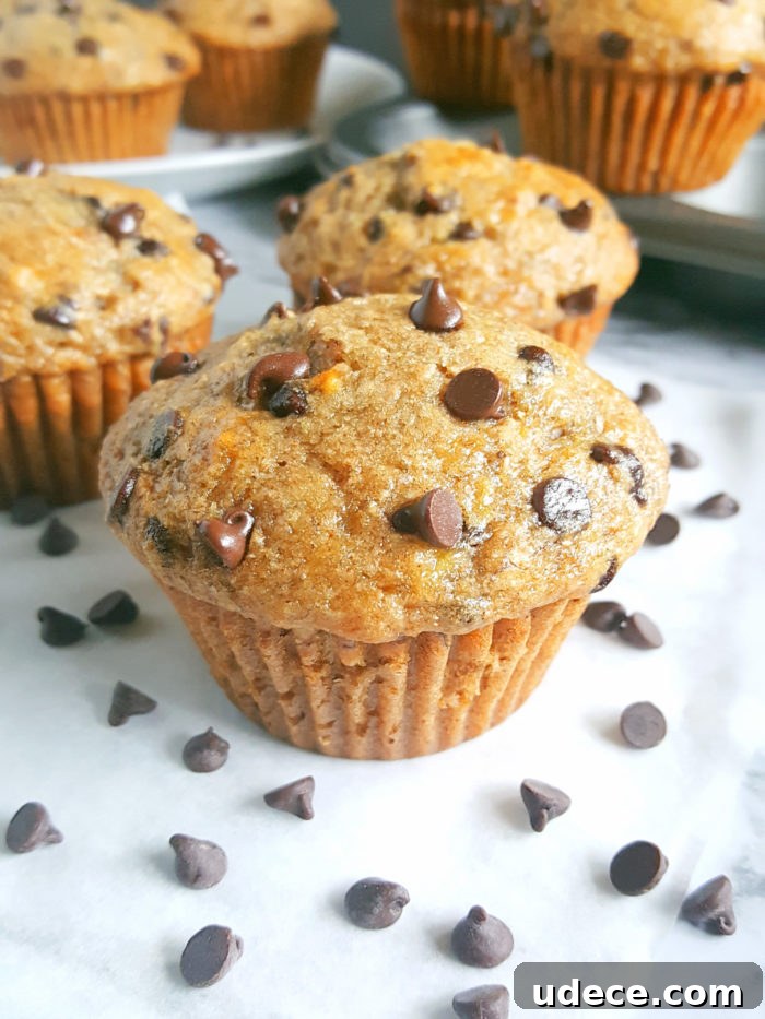 Greek Yogurt Chocolate Chip Banana Muffins — Moist Banana Muffins 2 Healthy Greek Yogurt Chocolate Chip Banana Muffins - No butter, sugar, or oil. Moist, low fat, full of fiber, and the greek yogurt adds protein. Made with whole wheat flour, naturally sweetened and studded with chocolate chips for a little indulgence.