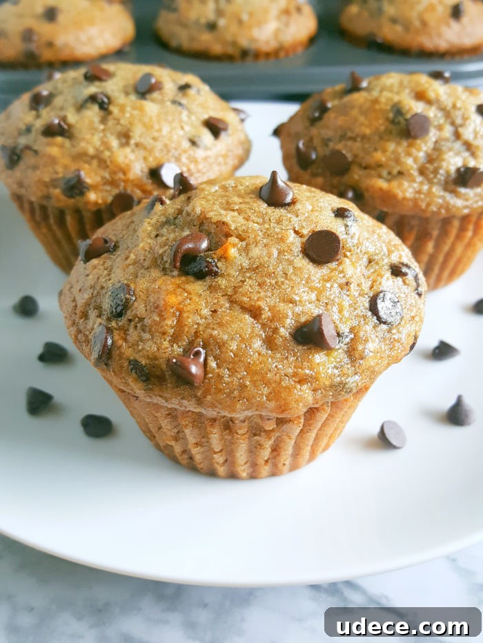 Greek Yogurt Chocolate Chip Banana Muffins — Moist Banana Muffins 3 Healthy Greek Yogurt Chocolate Chip Banana Muffins - No butter, sugar, or oil. Moist, low fat, full of fiber, and the greek yogurt adds protein. Made with whole wheat flour, naturally sweetened and studded with chocolate chips for a little indulgence.