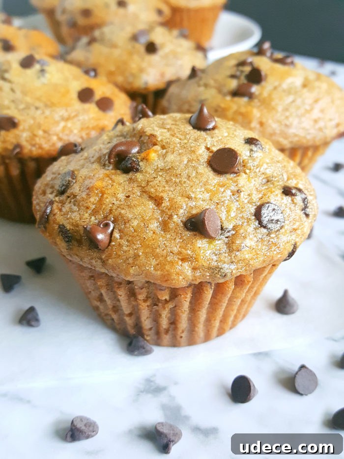 Greek Yogurt Chocolate Chip Banana Muffins — Moist Banana Muffins 4 Healthy Greek Yogurt Chocolate Chip Banana Muffins - No butter, sugar, or oil. Moist, low fat, full of fiber, and the greek yogurt adds protein. Made with whole wheat flour, naturally sweetened and studded with chocolate chips for a little indulgence.