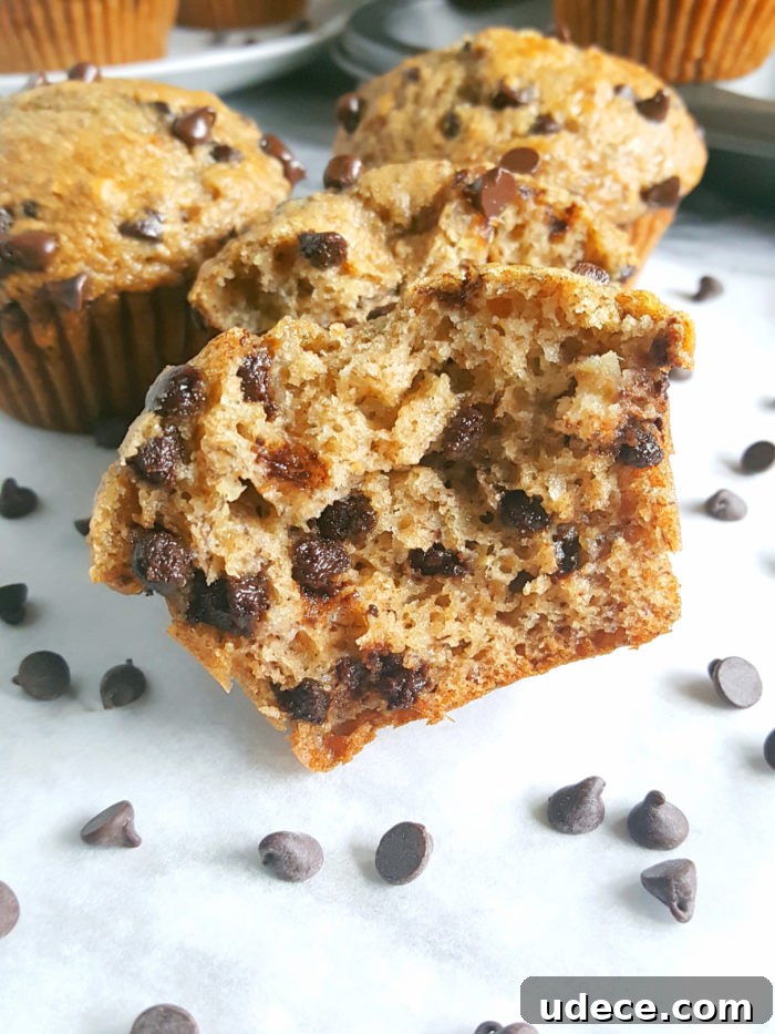Greek Yogurt Chocolate Chip Banana Muffins — Moist Banana Muffins 5 Healthy Greek Yogurt Chocolate Chip Banana Muffins - No butter, sugar, or oil. Moist, low fat, full of fiber, and the greek yogurt adds protein. Made with whole wheat flour, naturally sweetened and studded with chocolate chips for a little indulgence.